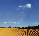 Sila Campo agricolo
